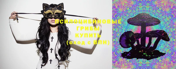 герыч Шали