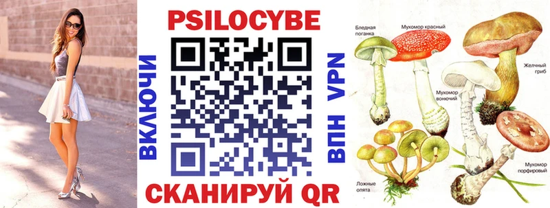 KRAKEN ТОР  Раменское  Псилоцибиновые грибы прущие грибы 
